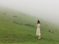 -大姆山草场