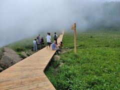 -白草畔自然风景区