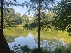 -东莞植物园