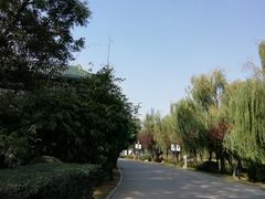 -月湖风景区