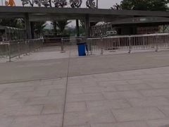 -武汉动物园