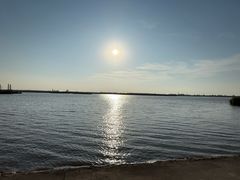 -盐城丹顶鹤湿地生态旅游区