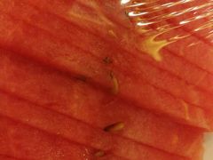 -全聚德(长江路店)