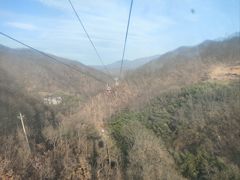 -栾川竹海野生动物园