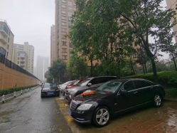 -蚂蚁婚车