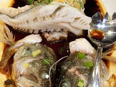 清蒸鲈鱼-河畔春天时尚餐厅