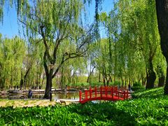 -玲珑塔公园