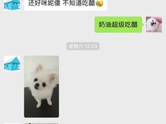 -宠物之家Pets Home 宠物寄养酒店