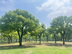 -苏州上方山国家森林公园