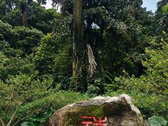 -天鹿湖森林公园