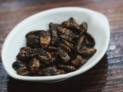 蚕蛹-象角群记(华柏店)