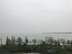 -新食谱全日制餐厅·苏州苏州湾艾美酒店