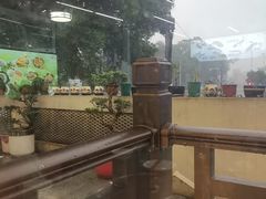 -古榕农庄·桑拿簸箕菜·招牌泥焗鸡(清远长隆店)
