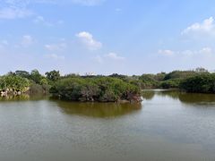 -海上田园