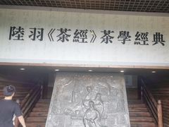 -大唐贡茶院