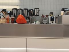 -CoCo都可(友谊阳光店)