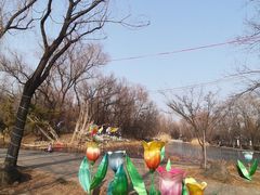 -洛阳市隋唐城遗址植物园