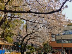 -玛格萝妮比萨屋(四平店)