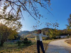-千年银杏谷文化旅游区