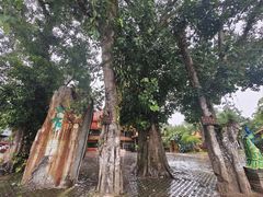 -西双版纳傣族园