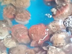 -晓伟海鲜家常菜
