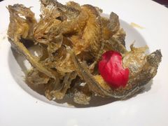 海派梅子鱼-森谷美食公园(杨行店)