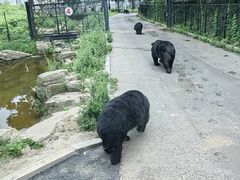 -大连森林动物园