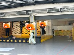 -问山MountQuest攀岩馆