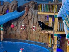 -烟台海昌鲸鲨海洋公园