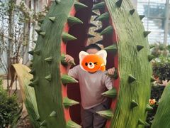 -沈阳植物园