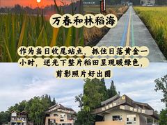 -老鼎万春卤菜(五代传承创始老店)