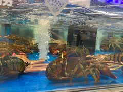 -盒马X会员店(上海森兰商都店)