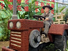 -兰陵国家农业公园