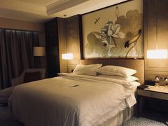 -上海嘉定喜来登酒店