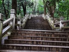 -灵岩山风景区
