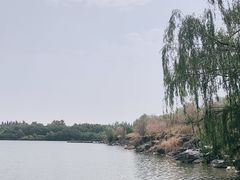 -西安浐灞国家湿地公园