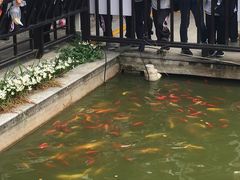 -武汉紫薇都市田园