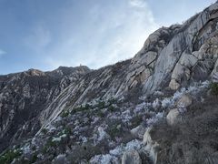 -北京凤凰岭
