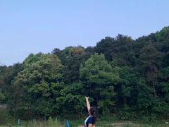 -铁山坪森林公园