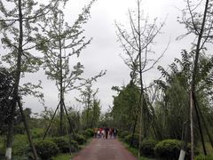 -白鹭湾湿地公园