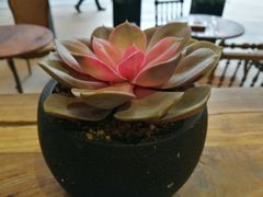 -MUSEE CAFE(保利·时光里店)