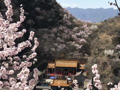-辛安庄鸡鸣山景区