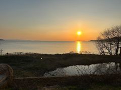 -香雪海