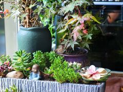 -京怀石·壬生