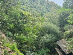 -莫干山风景区