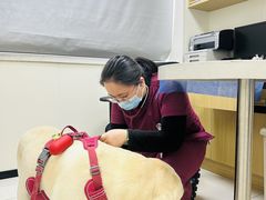 -美联众合动物医院·24h京西诊疗中心