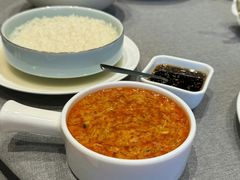 -合肥滨湖国家森林公园