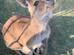 -南京金牛湖风景区