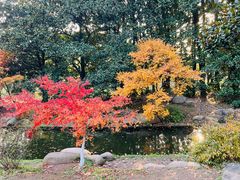 -上海共青森林公园