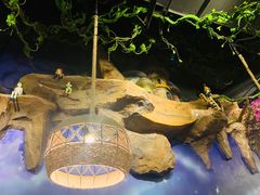 -祖母的魔法厨房(印象城店)
